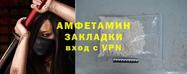 индика Медногорск