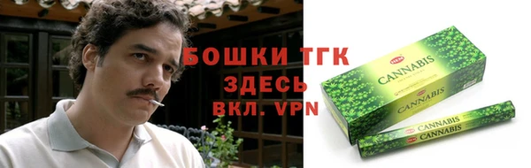 индика Медногорск