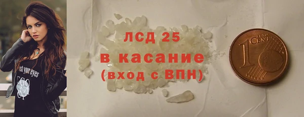 индика Медногорск