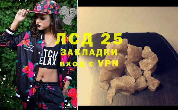 индика Медногорск