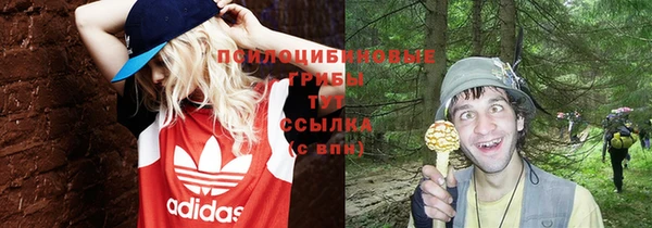 СК Майский