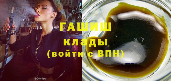 индика Медногорск
