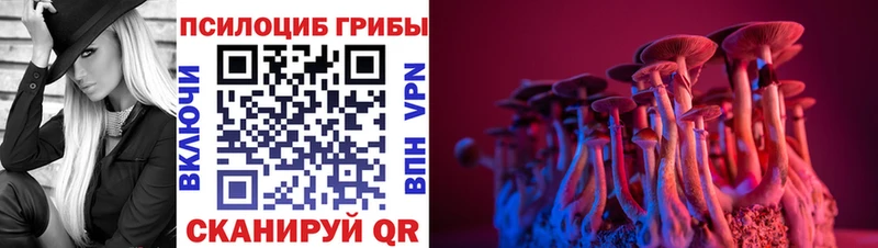 купить  сайты  Раменское  Галлюциногенные грибы мицелий 