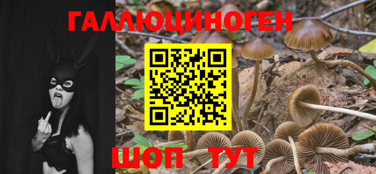 Галлюциногенные грибы MAGIC MUSHROOMS  Раменское  Галлюциногенные грибы ЛСД 