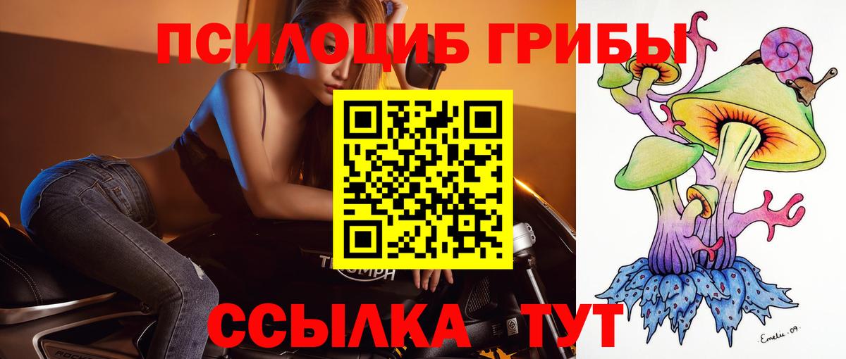 Псилоцибиновые грибы мицелий  Вход с VPN  где найти   Раменское 