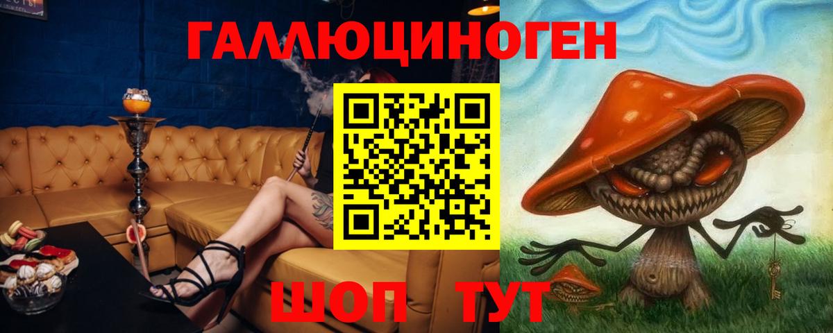 Псилоцибиновые грибы Psilocybe Раменское